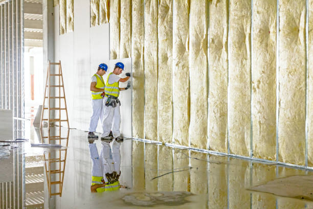 Best Cellulose Insulation in Rhome, TX
